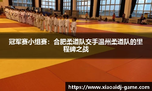 小艾电竞官方正版网站